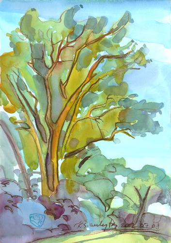Cartoon: TREES (medium) by Kestutis tagged bäume,trees,lithuania,kestutis