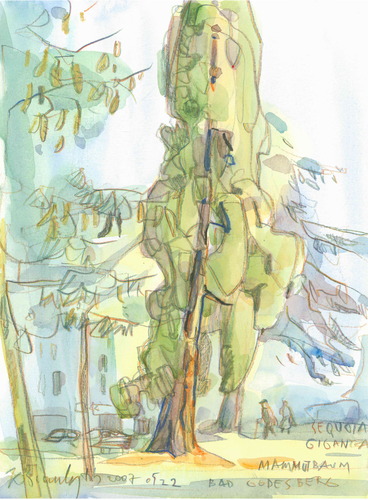 Cartoon: Bonn. Bad Godesberg. Trees (medium) by Kestutis tagged siaulytis,kestutis,tree,watercolor,deutschland,germany,bonn,bäume