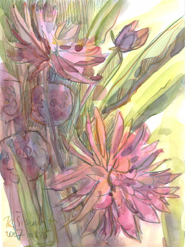 Cartoon: Flowers. Dahlias (medium) by Kestutis tagged summer,lithuania,siaulytis,kestutis,watercolor,blumen,sketch,dahlias,flowers,nature