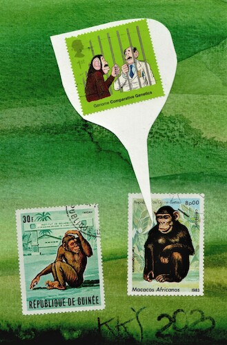 Cartoon: Funny memories (medium) by Kestutis tagged funny,memorie,dada,postcard,monkey,art,kunst,kestutis,lithuania