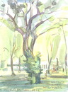 Cartoon: Bonn. Bad Godesberg. Trees (small) by Kestutis tagged bäume,bonn,germany,deutschland,watercolor,tree,kestutis,siaulytis