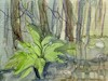 Cartoon: Forest stream fern (small) by Kestutis tagged forest,stream,fern,summer,art,kunst,watercolor,kestutis,lithuania