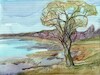Cartoon: Lakeshore willow (small) by Kestutis tagged watercolor,spring,sketch,art,kunst,willow,kestutis,lithuania