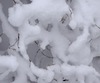 Cartoon: Masks. Winter mimic (small) by Kestutis tagged masks,winter,mimic,kestutis,lithuania,dada,photo