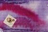 Cartoon: Prey (small) by Kestutis tagged prey,magpie,bird,diamond,briefmarke,post,stamps,dada,postcard,kestutis,lithuania,art,kunst