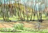 Cartoon: Spring by the forest stream (small) by Kestutis tagged spring,forest,stream,impressionism,kestutis,lithuania,art,kunst,watercolor