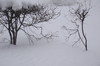 Cartoon: WINTER GRAPHIS. DISCUSSION (small) by Kestutis tagged photo,winter,graphis,snow