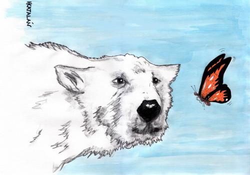 Cartoon: CALENTAMIENTO GLOBAL (medium) by HCATALAN tagged mariposa,oso,buterfly,bear,calentamiento,naturaleza,polar