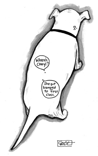 Cartoon: First Class (medium) by a zillion dollars comics tagged dogs,pets,travel,class,luxury,fleas
