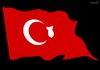 Cartoon: Turkey coup (small) by to1mson tagged turkey,turcja,military,przewrot,army