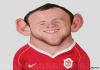 Cartoon: Wayne Rooney (small) by manohead tagged caricatura caricature manohead wayne rooney