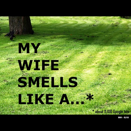 Cartoon: MH - My wife smells like a... (medium) by MoArt Rotterdam tagged google,googlehits,manandwife,marriage,maritalissues,mywifesmells,smelllikea