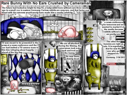 Cartoon: rare bunny (medium) by bob schroeder tagged bunny,rabbit,animal,pet,cameraman,ears,zoo,cute,tv,television,media,press,marketing