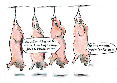 Cartoon: Billigfleisch (medium) by Skowronek tagged fleischindusrie,schweine,schlachtung,werksverträge,billigfleisch,rinder,hühner,aldi,landwirtschft,bauern,bordell,prostitution,geld,kapitalismus,gehälter