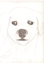 Cartoon: dog (small) by paintcolor tagged dog,animal,friend