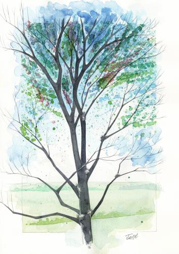 Cartoon: Tree1 (medium) by Jesse Ribeiro tagged nature,landscape,tree,watercolor,illustration