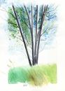 Cartoon: Tree2 (small) by Jesse Ribeiro tagged nature,landscape,tree,watercolor,illustration