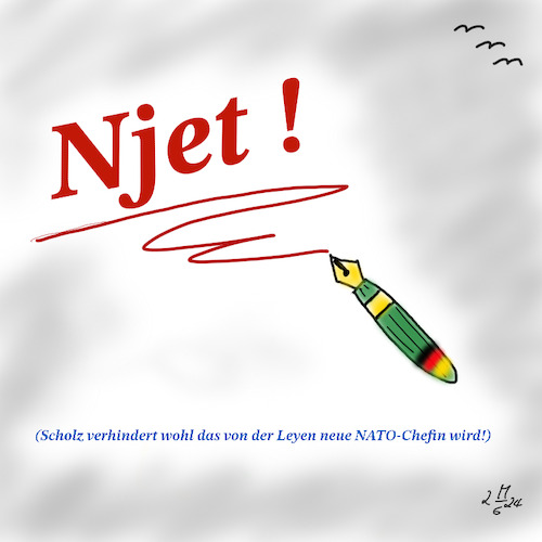 Cartoon: Nix mit NATO Chefin (medium) by legriffeur tagged nato,verteidigung,deutschland,bundeskanzlerscholz,vonderleye,natogeneralsekretär,europa