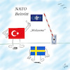 Cartoon: NATO Beitritt (small) by legriffeur tagged nato,beitritt,natobeitritt,türkei,schweden,ungarn,verteidigung,europa,streitkräfte