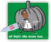 Cartoon: sri lanka political (small) by damayanthi tagged sri lanka political