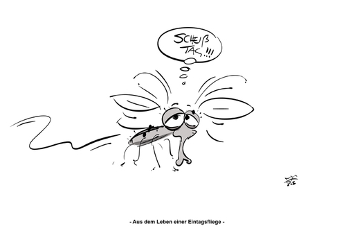 Cartoon: Eintagsfliegen-Blues (medium) by subbird tagged fliege,befinden,philosophie,tiere