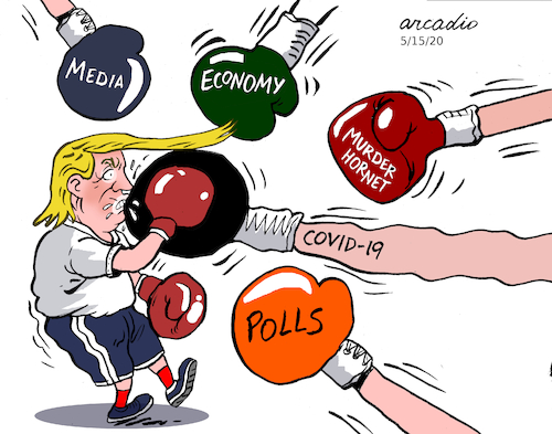 Cartoon: The challenges of Trump. (medium) by Cartoonarcadio tagged trump,usa,us,government,washington