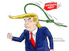 Cartoon: Impeachment (small) by Cartoonarcadio tagged trump,courts,congress,washington