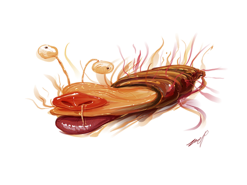 Cartoon: the hot snails (medium) by thinhpham tagged funny,lip,big,hot,snails,zenchip