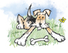 Cartoon: Rufus - continued! (small) by east coast cartoons tagged dog,wire,hair,fox,terrier