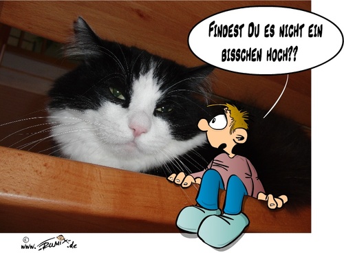 Cartoon: Hoehenangst (medium) by Trumix tagged katze,kater,animal,tier,tiere,trummix,cat,cats,haustier