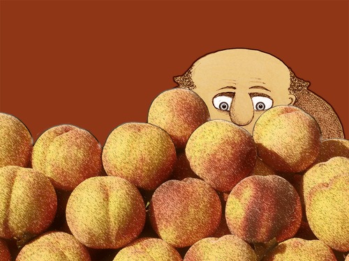Cartoon: Peaches (medium) by Steve B tagged peaches,malta