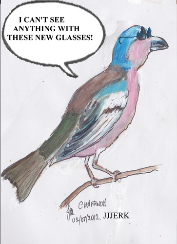 Cartoon: New glasses (medium) by jjjerk tagged branch,caricature,cartoon,beak,glasses,blue,chaffinch,bird