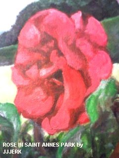 Cartoon: Rose of Saint Annes Park (medium) by jjjerk tagged rose,red,bloom,saint,annes,park,dublin,ireland,cartoon,caricature