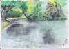 Cartoon: Duck Pond (small) by jjjerk tagged duck pond saint annes park dublin nature trees green water paving reflection