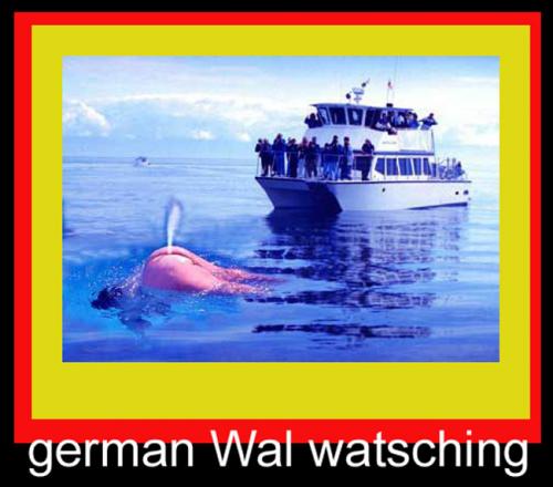 Cartoon: whale watching (medium) by dreifusz tagged fette,deutsche,