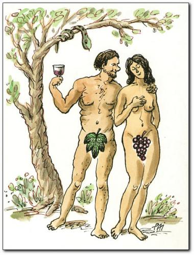 Cartoon: wine (medium) by penapai tagged adam,eve,,adam,eva,paradies,schlange,frucht,verführung,locken,weintraube,wein,sünde,religion,trinken,alkohol