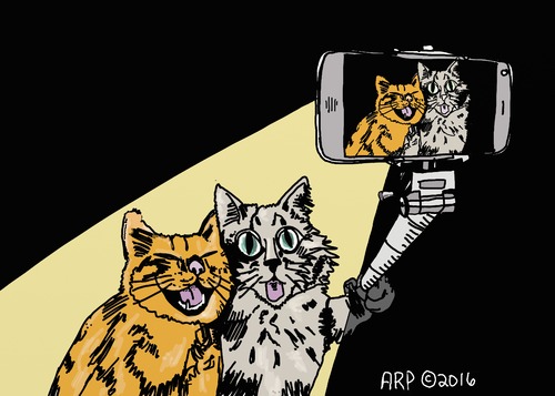 Cartoon: Doing a Selfy (medium) by tonyp tagged arp,selfy,selfi,photo,cats,cat