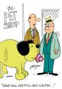Cartoon: Puppy love. (small) by daveparker tagged pet,shop,big,dog,comforter