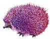 Cartoon: Acidulous hedgehog (small) by LeeFelo tagged acidulous,hedgehog,pink,purple,acid,different,special