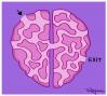 Cartoon: Puzzle (small) by Marcelo Rampazzo tagged puzzle brain psyque