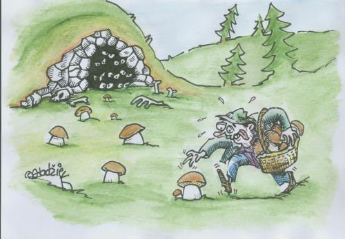 Cartoon: mushroom (medium) by ivo tagged wau