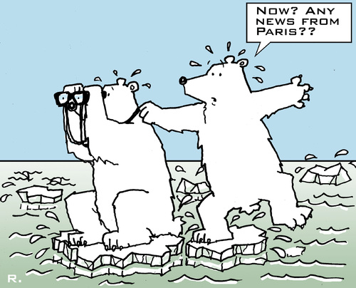Cartoon: Trusting in the Summit (medium) by RachelGold tagged paris,climate,summit,change,warming,icebear