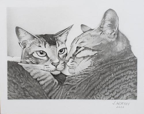 Cartoon: Salvadore and Dolly Cats (medium) by jim worthy tagged cats,animals,feline,pets,kitty,kitties