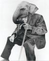 Cartoon: The Elephant Man (small) by jim worthy tagged elephant,animal,illustration,wierd
