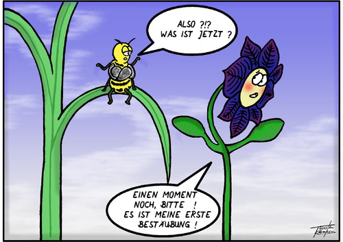 Erstbestäubung Erstbestäubung