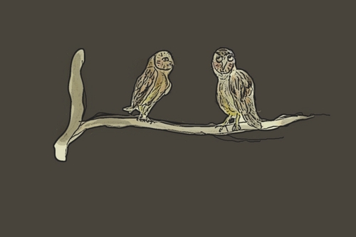 Cartoon: owl (medium) by cgill tagged puzzle,wisdom