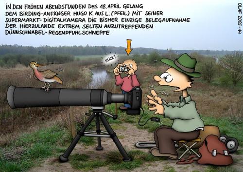 Cartoon: Regenpfuhlschnepfe (medium) by ralfschnellegmxde tagged birding,vogelbeobachtung,vögel