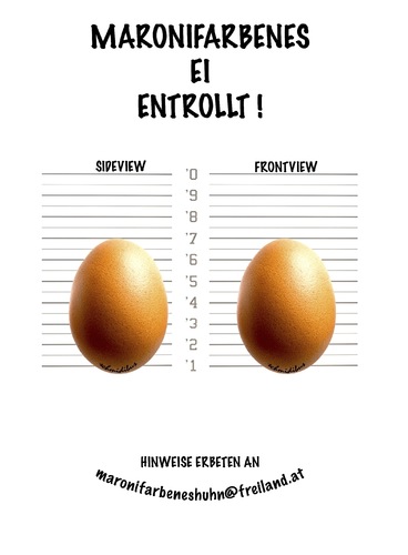 Cartoon: ei entrollt (medium) by schmidibus tagged ei,huhn,maronifarben,henne,freiland,freilaufend,hahn