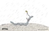 Cartoon: piercing (small) by schmidibus tagged piercing rainworm earthworm blue