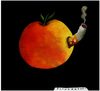 Cartoon: The_apple_knows_too! (small) by firuzkutal tagged smoking nonsmoker cigarette cigar flower despot despotism selfish suppressing manipulative package apple violence child prison